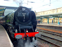 DSCF6247