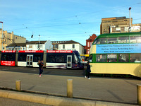 DSCF8520
