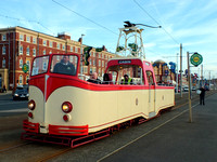 DSCF8537