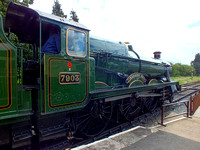 DSCF8729