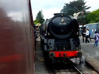 DSCF8740