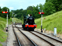 DSCF8713