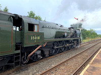 IMG_3812 (3)