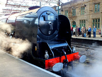 DSCF6192